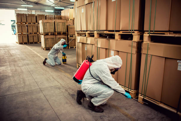 Wasp Removal Services in East Chicago, IN