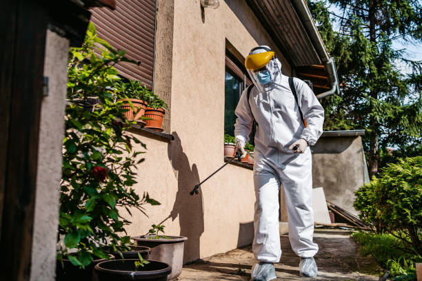 Best Best Pest Control Companies  in East Chicago, IN