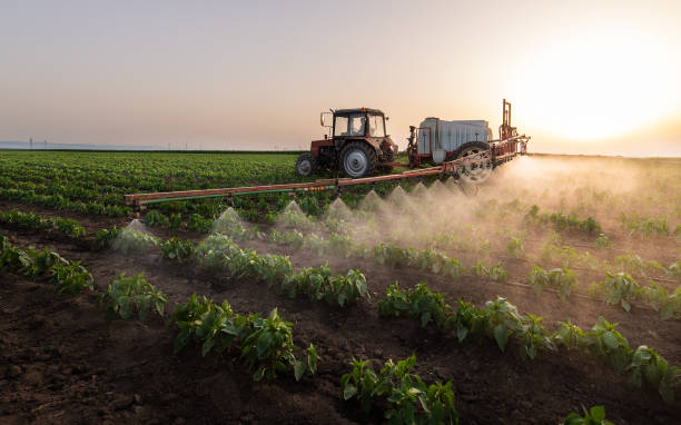 Pest Control Cost in East Chicago, IN