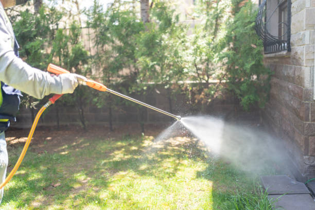 Best Termite Control Services  in East Chicago, IN