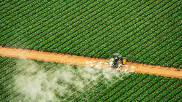 Best Mosquito Control Services  in East Chicago, IN