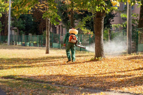 Best Pest Removal Services  in East Chicago, IN