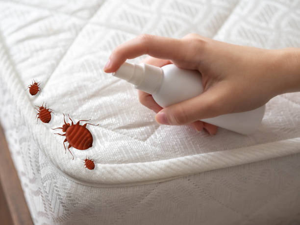 Pest Prevention Services in East Chicago, IN
